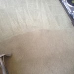 Carpet-Cleaning-Lacey