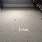 Cranberry Juice Stain Removal Lacey A