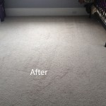 Cranberry Juice Stain Removal Lacey B