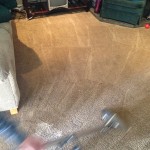 Dirty-Carpet-Cleaned-Lacey