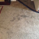 Dirty-Carpet-Lacey-WA