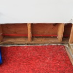 Lacey-Blower-Dries-Wood