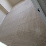 Lacey-Carpet-Clean-room