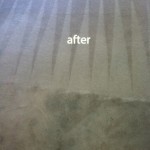 Lacey-Carpet-Cleaning-Carpet-Cleaning