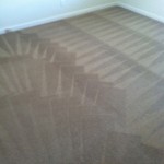 Lacey-Carpet-Cleaning-Wall-To-Wall