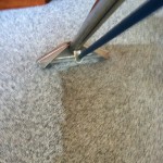 Lacey-Deep-Carpet-Cleaning