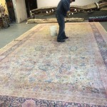 Lacey-Professional-Rug-Cleaning