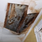 Lacey-Water-Pipe-Exploded
