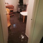 Lacey-office-room-flood-damage-repair