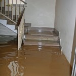 Laceyflood-in-house