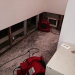 Laceywater-damage-repair-equipment