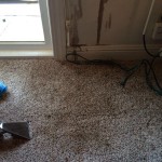Oil-Stain-Removal-After-Lacey