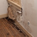 Paint-Water-Damage-Lacey