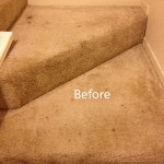 Stairs-Carpet-Cleaning-Lacey-A
