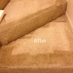 Stairs-Carpet-Cleaning-Lacey-B