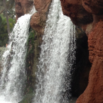 Water-Damage-Repair-Lacey-WA