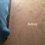 ink stain removal Lacey-A