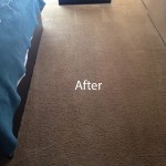 ink stain removal Lacey-B